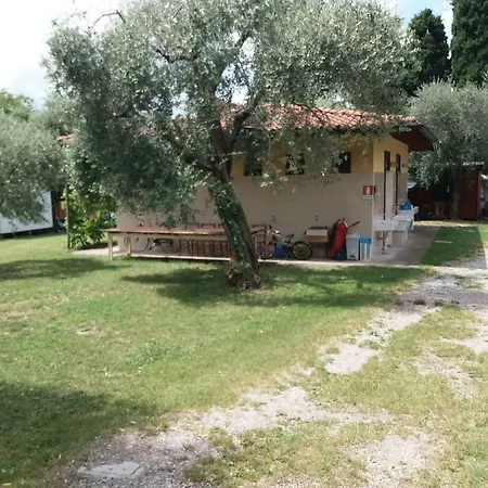 Campsite Camping Olivella