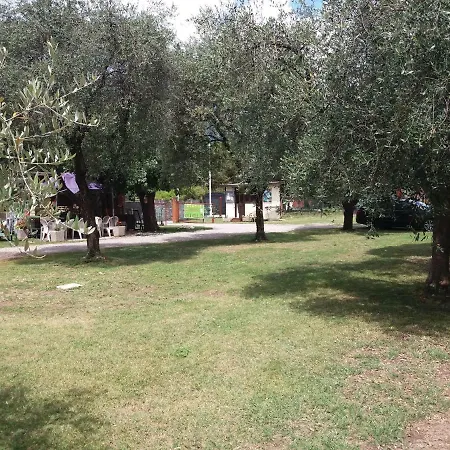 Campsite Camping Olivella