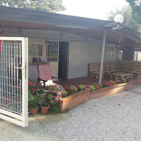 Camping Olivella