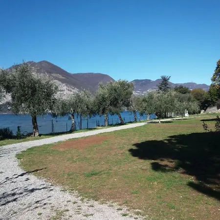 Campsite Camping Olivella