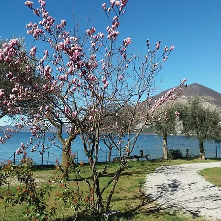 Camping Olivella Campsite Pilzone