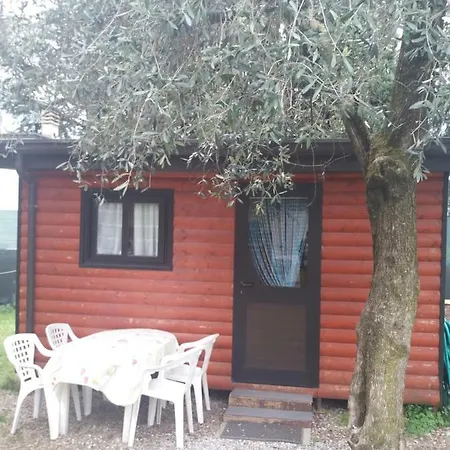캠프장 Camping Olivella *