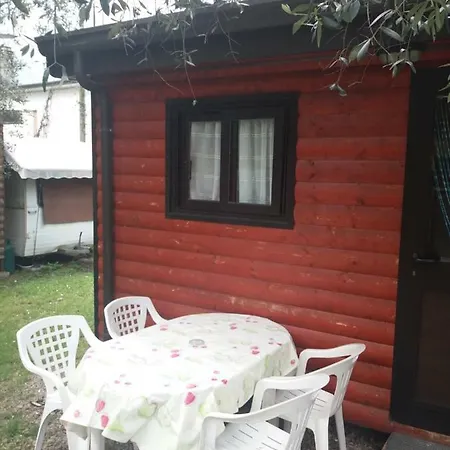 캠프장 Camping Olivella *