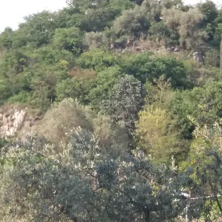 Camping Olivella * Pilzone