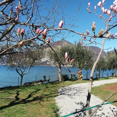 Camping Olivella * Pilzone